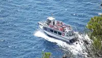 1987 Commercial Snorkelling Day Cruiser Fishing Boat