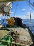 65m Tuna Purse Seiner