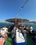 GLASS-BOTTOM BOAT