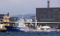42.7m Purse Seine Fish Scout / Carrier