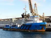 AHT/ SUPPORT vessel for sale