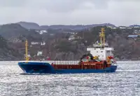 CM1017 GENERAL CARGO SHIP WITH EXCAVATOR 5200 DWT 1980 BLT SIETAS FOR SALE