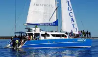 New: 17m Charter Sailing Catamaran