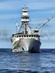 TUNA PURSE SEINER