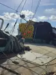 TUNA PURSE SEINER
