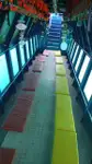 GLASS-BOTTOM BOAT