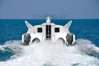 2010 Passenger Vessel Day Cruiser